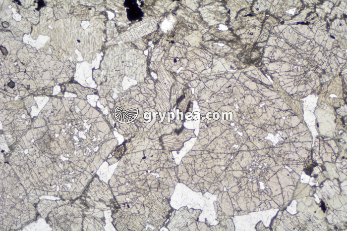 Eclogite LPNA x6,3 - gryphea.org